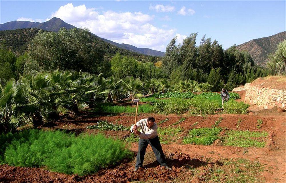 Domaine Malika Hotell Moulay Brahim Eksteriør bilde